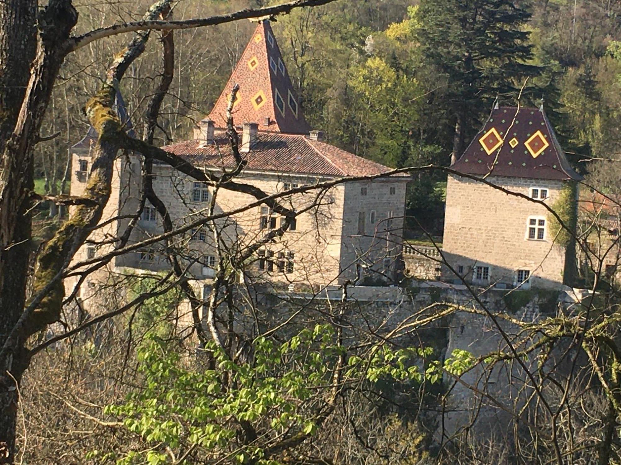 Vercors En Vert , Chambres D'Hotes De Charme Saint-Romans (Isere) Exterior foto
